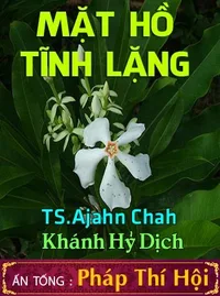 Bìa sách Mặt Hồ Tĩnh Lặng